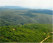 Imagem da Serra do Japi